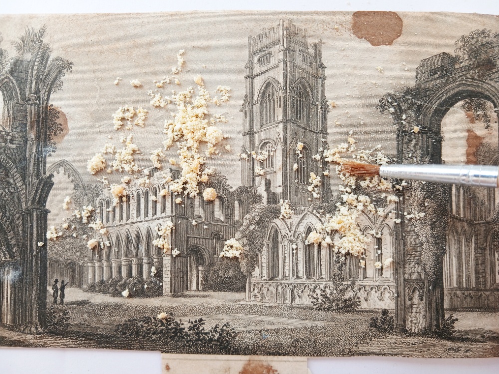 Apollo Fine Art Restoration paper restoration dry cleaning
