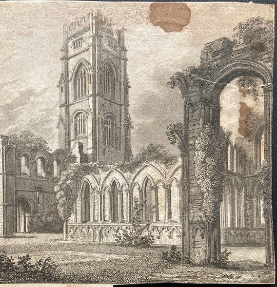 Apollo Fine Art Restoration paper restoration