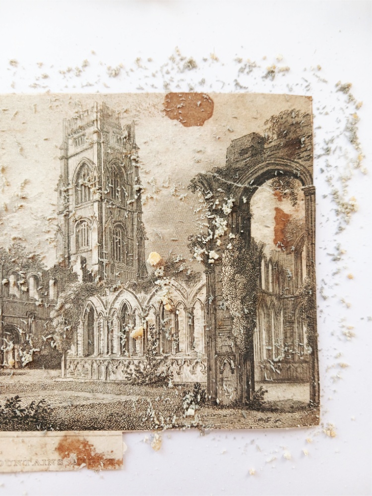 Apollo Fine Art Restoration paper restoration dry cleaning