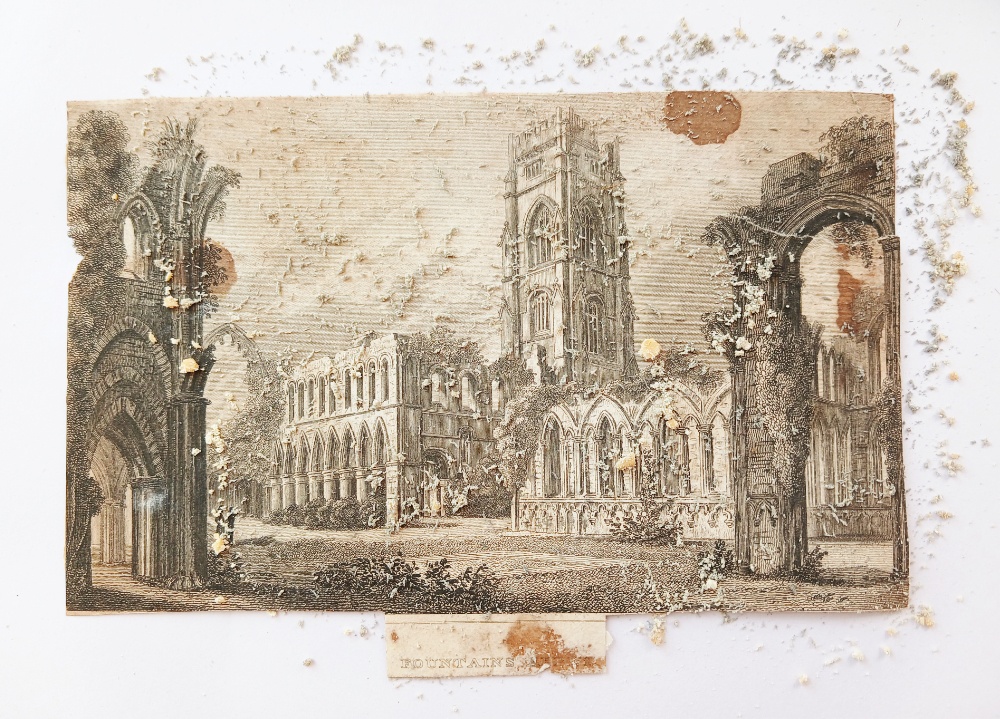 Apollo Fine Art Restoration paper restoration dry cleaning